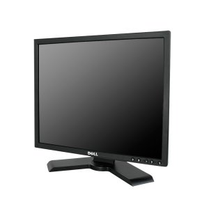 DELL LCD P190S