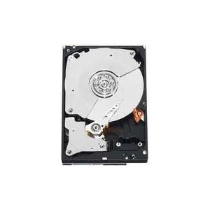 DELL Server 1TB 7200rpm 3.5" SATA Hot-Swap HDD