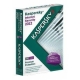 Kaspersky Internet Security 2011 2 vartotojams